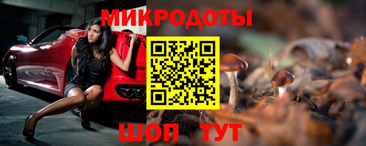 Галлюциногенные грибы ЛСД Пятигорск